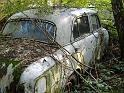 Autofriedhof - 155